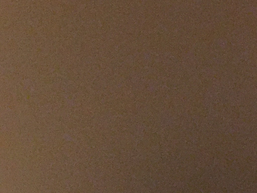 Lazmina تكتب ٦ أعوام من&nbsp;العزلة