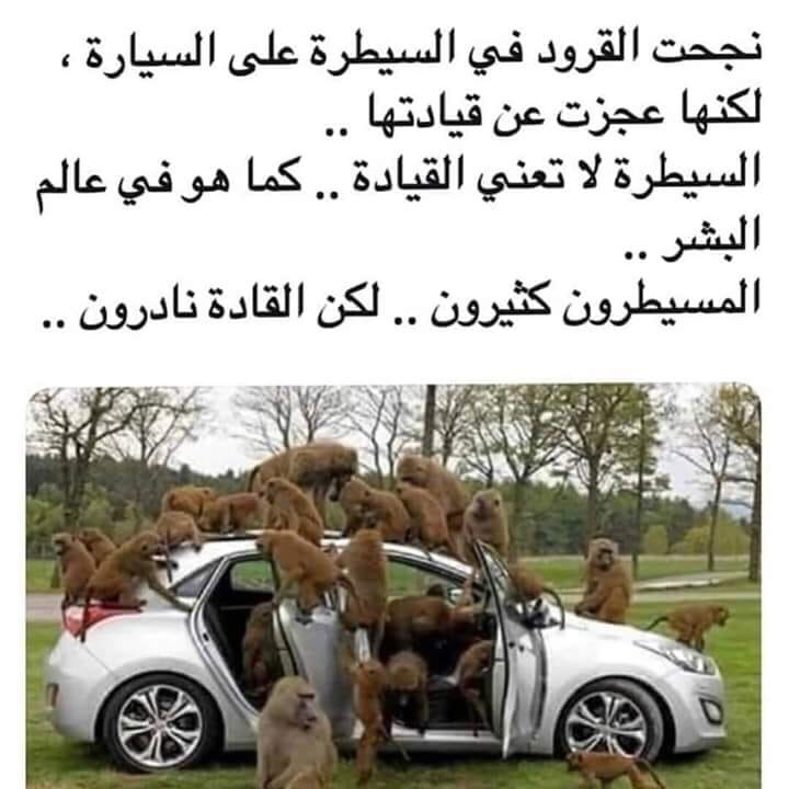 فضفضة # ١