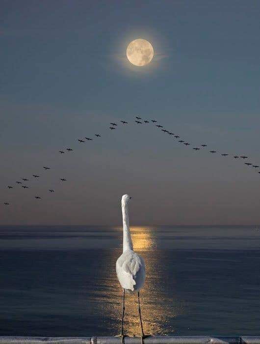 فضفضة#١٧ بقلم آسيا&nbsp;ياسين