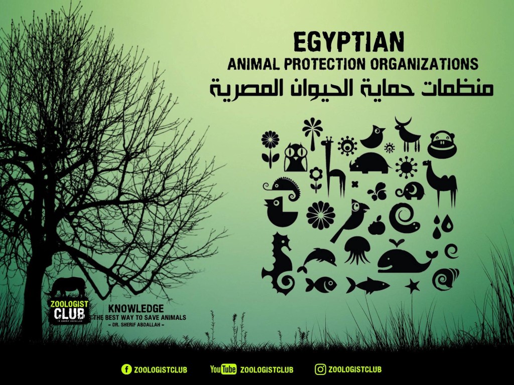 منظمات حماية الحيوان&nbsp;المصريةي