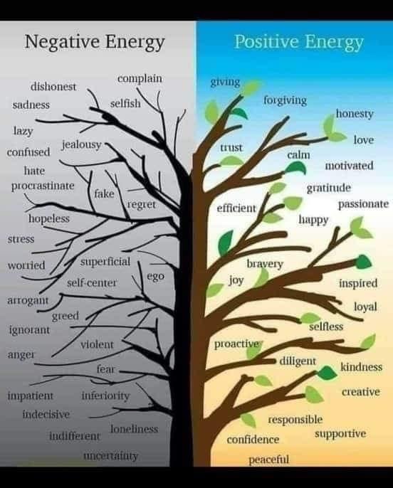 How to get your Life Path&nbsp;Number?
