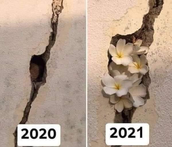 ٢٠٢١ كل عام وأنت&nbsp;_انسان♥️