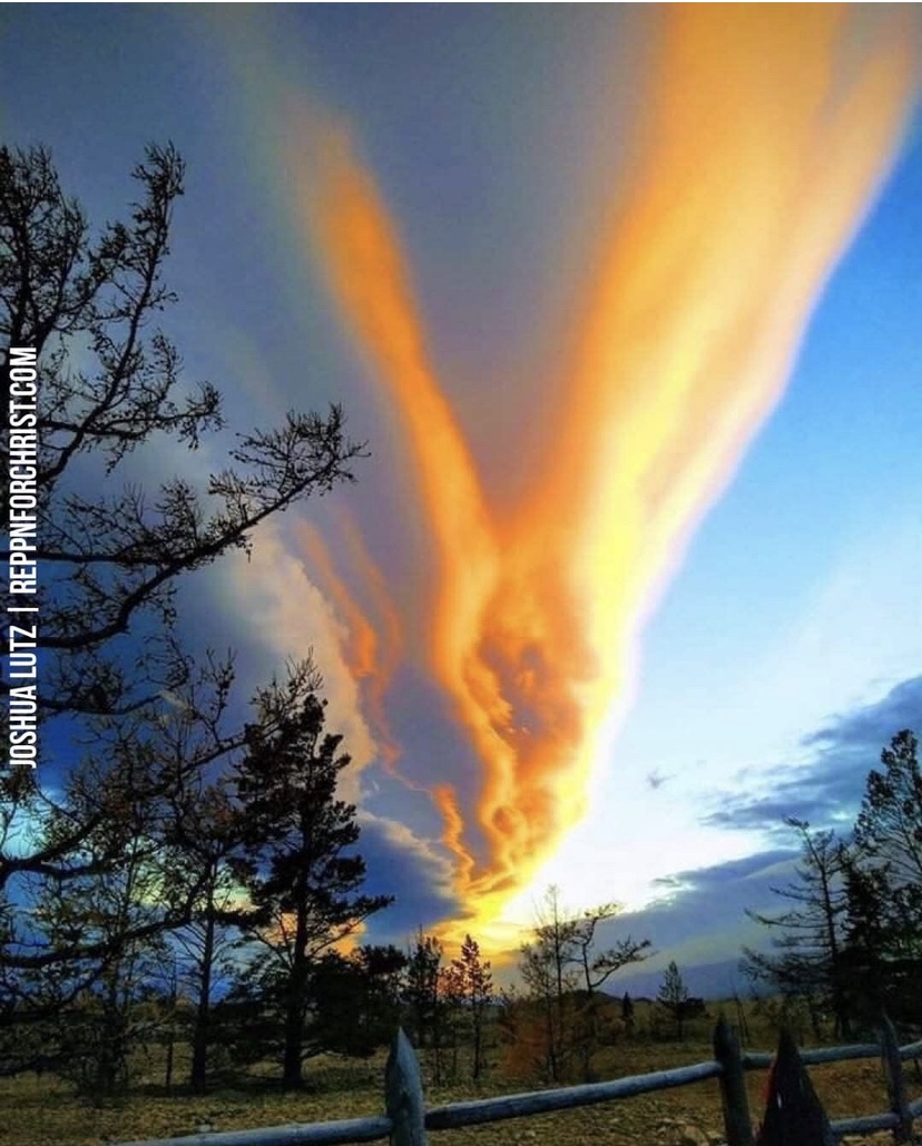 الثلاثاء وازاي تساعد نفسك وغيرك: هنرشحلك ٥ كتب في فهم وتطوير الذات أقراها وشاركها مع&nbsp;غيرك