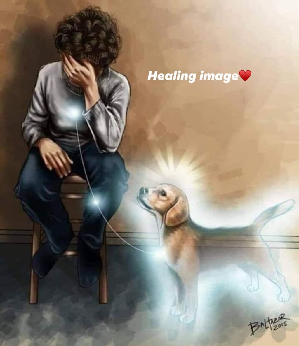 NHE SPIRITUAL MISSION OF YOUR&nbsp;DOG-♥️♥️
