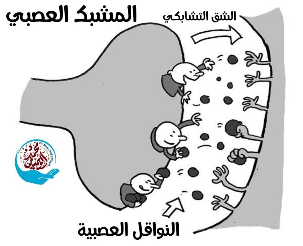 عيادة الجمعة ….النواقل العصبية والاضطرابات_النفسية