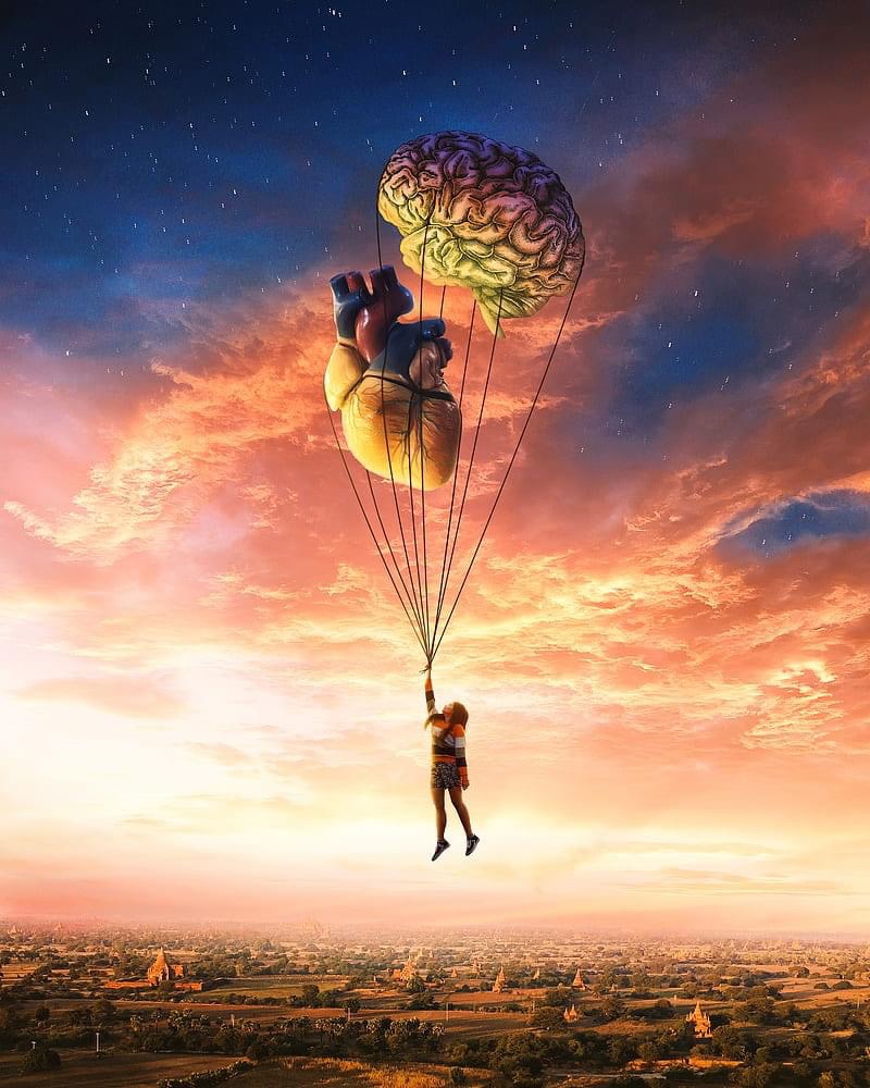 العقل والقلب